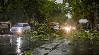People get respite from heat as rain finally hits Delhi-NCR