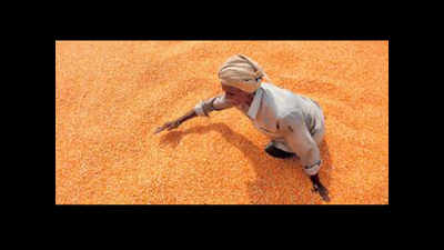 5000 farmers to get Rs 46.66-crore debt relief