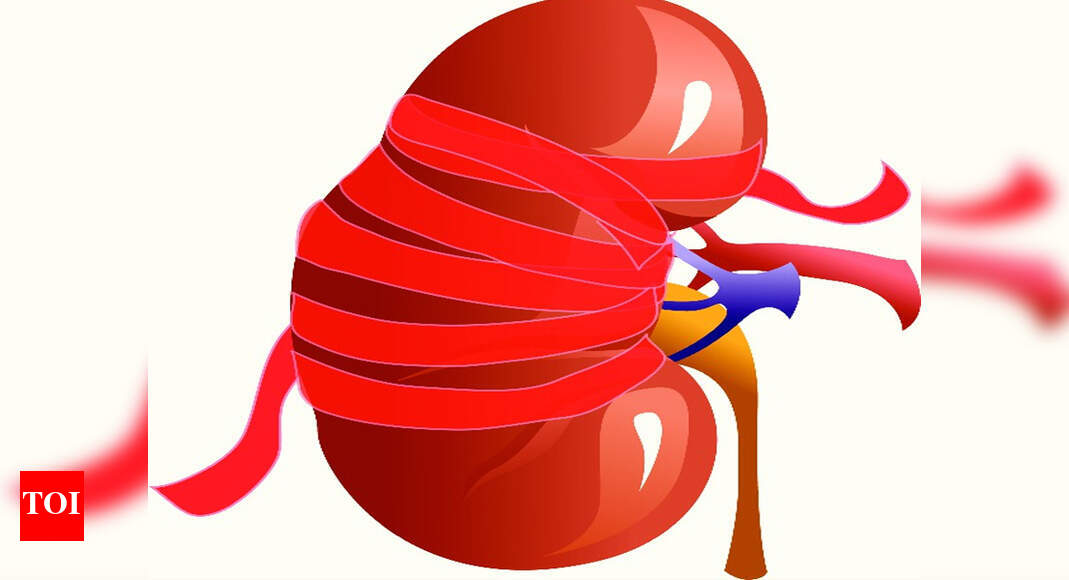 Next Uddanam? Kidney disease kills 6 in Krishna | Hyderabad News ...