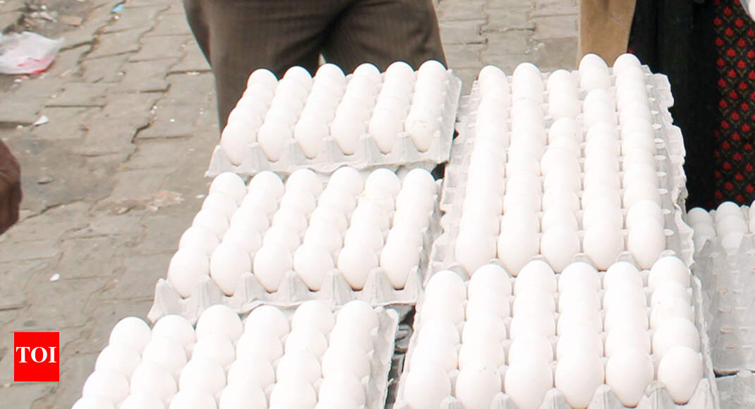 Eggs back in business Kochi News Times of India