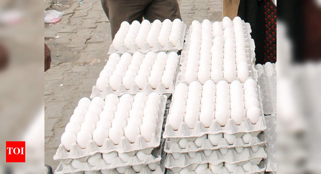 Eggs back in business Kochi News Times of India