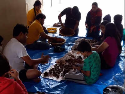 Green warriors make seed balls at Bengaluru apartment