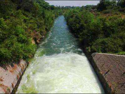 Ken-Betwa link: Centre agrees to MP’s demand to merge phases
