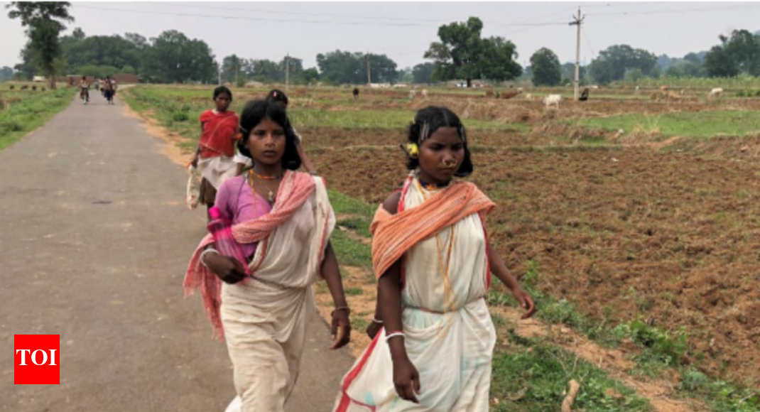 'We will die for Niyamgiri,' says tribe which stands in the way of Vedanta in Odisha - Times of India