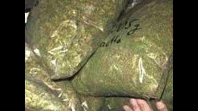 City police seize 680kg of cannabis