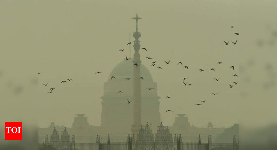 Why the Thar desert came to Delhi Delhi News Times of India