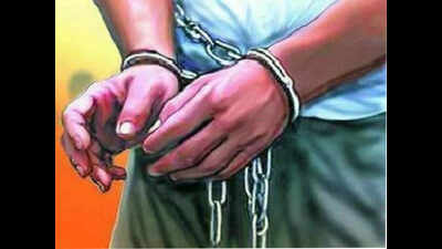 Girl gang-raped in Rajgir, one arrested | Patna News - Times of India