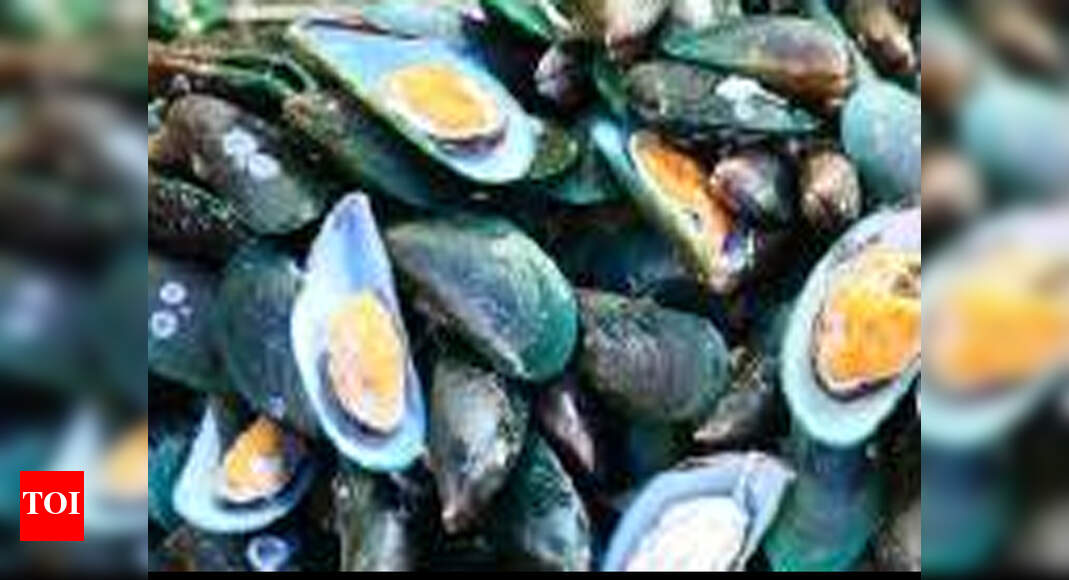 Humble mussel holds the answer to viral diseases Goa News Times of
