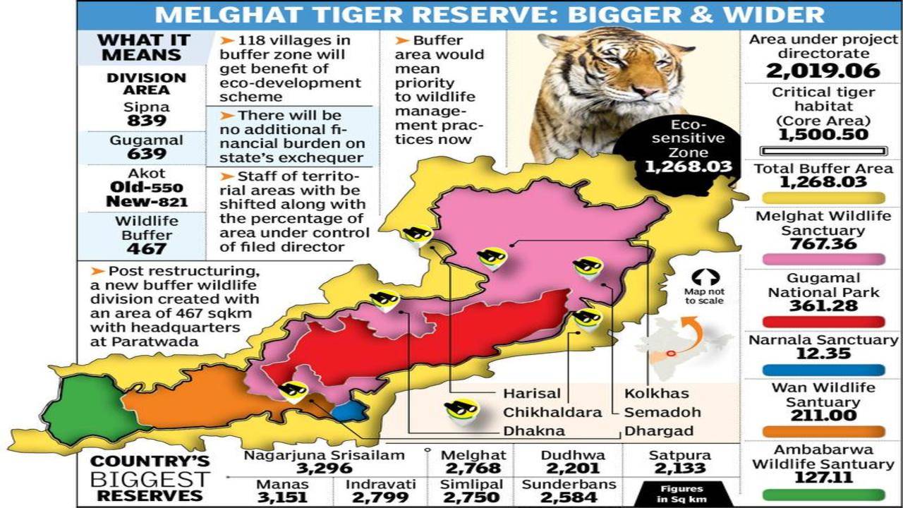 Melghat to be 4th largest tiger reserve in country | Nagpur News - Times of  India