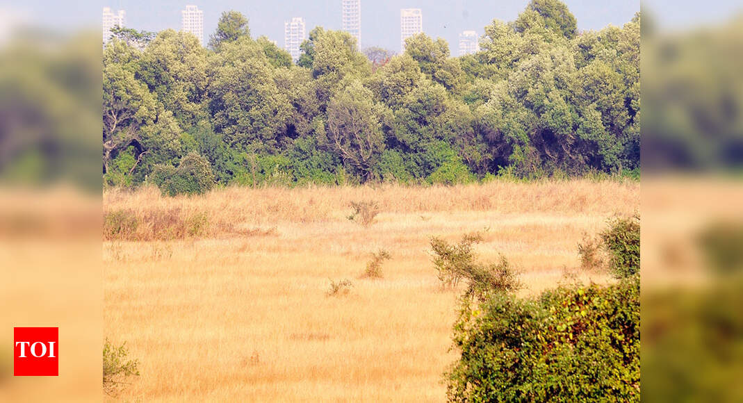 GR issued for free land ownership for Sindhis | Nagpur News - Times of ...