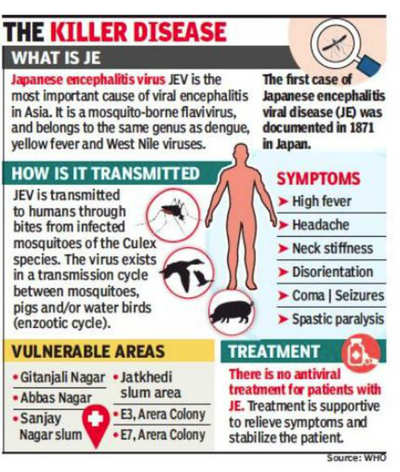 Japanese Encephalitis Virus Bhopal Japanese Encephalitis Alert As Monsoon Draws Near Bhopal News Times Of India