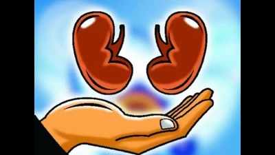 Mumbai: Telecom executive gets kidney from poor nephew, thanks to DNA match