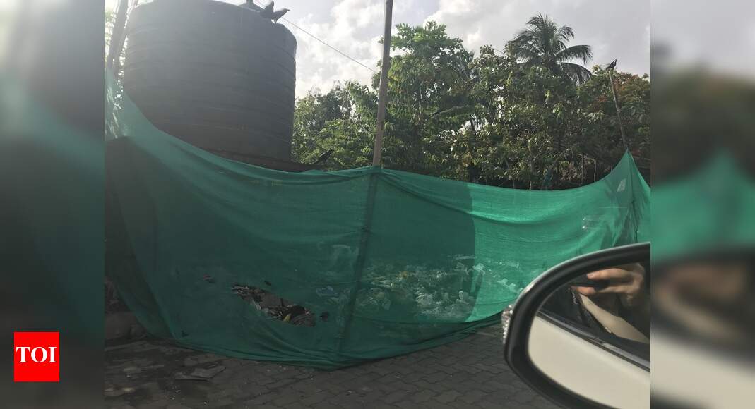 easier to camouflage garbage than to clear it. Times of India