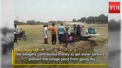 Udaipur: Villagers refill ponds to keep fish alive