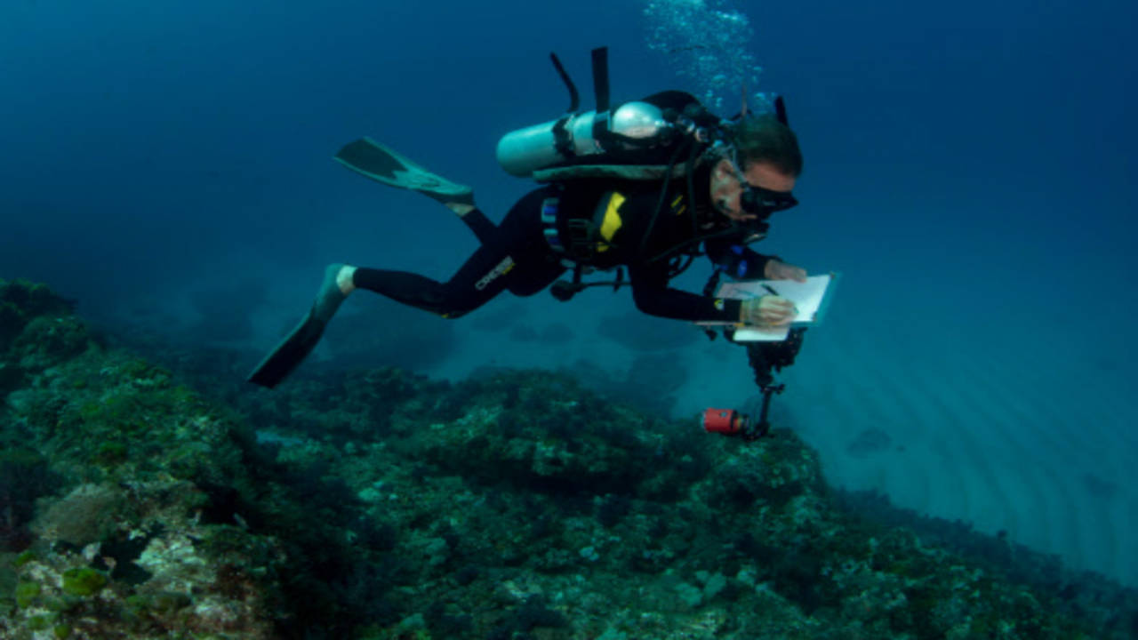 Artificial blubber” protects divers in frigid water, MIT News