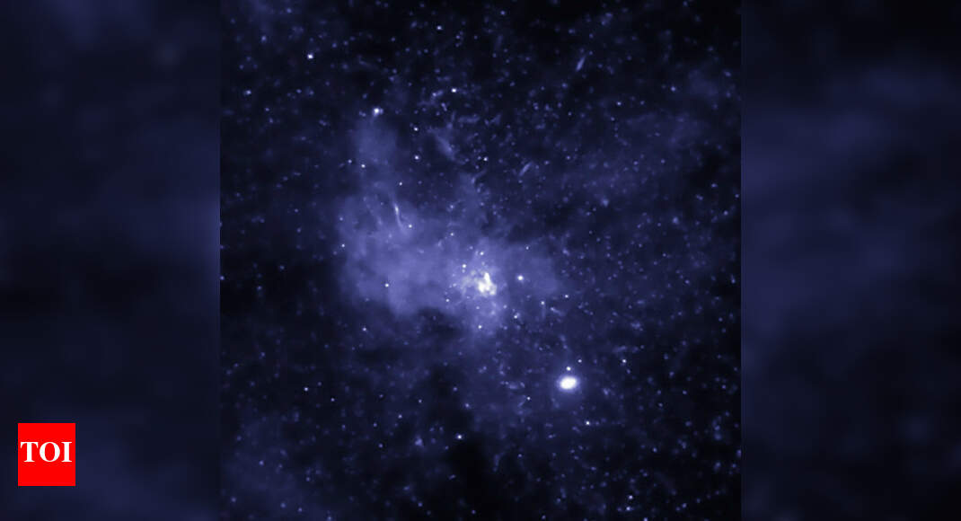 Evidence of rare black hole spotted - Times of India