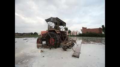 Rain delay slows down sowing in Gujarat