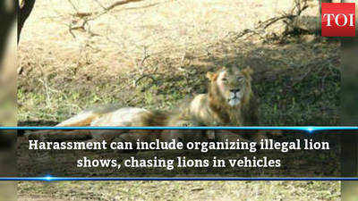 Gujarat: Those harassing lions can be jailed up to 7 years