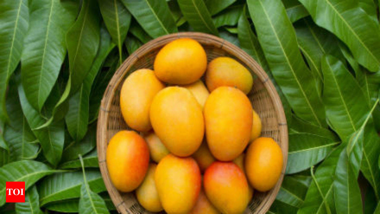 This mango leaves concoction promises to cure diabetes! - Times of