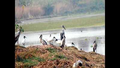 With water source cut off, Surajpur bears a parched look