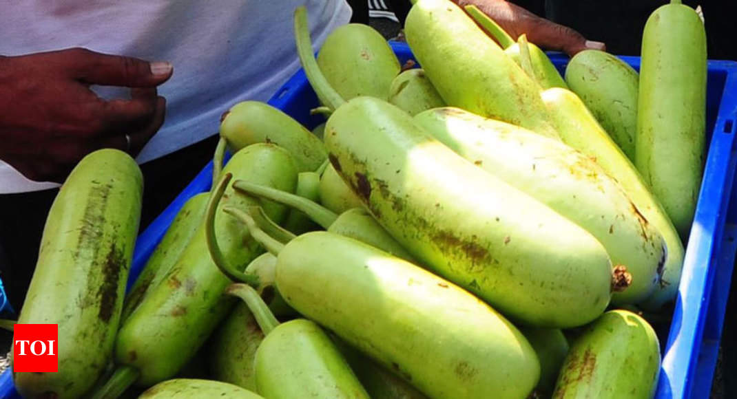 pune woman dies after drinking bottle gourd juice pune news pune woman dies after drinking bottle gourd juice pune news times of india