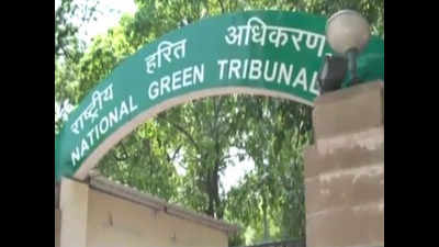 Delhi housing plan: NGO moves NGT to save trees