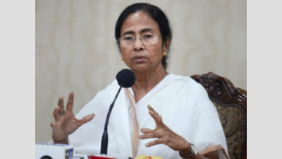 Mamata Banerjee calls for austerity