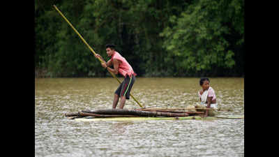 Death toll in Assam floods increases to 24