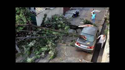 Rain, thunder uproot trees, utility poles in Dehradun