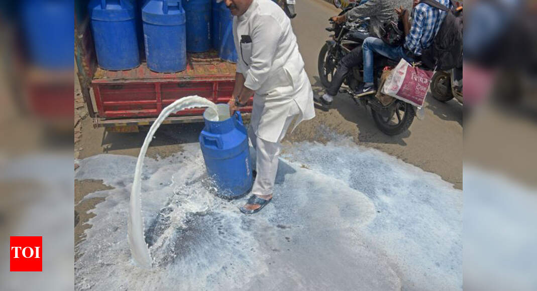 For Maharashtra dairy farmers, milk is now cheaper than water