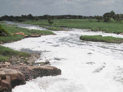 Musi River: Polluted Musi Water Used For Irrigation Affecting Aquifers 