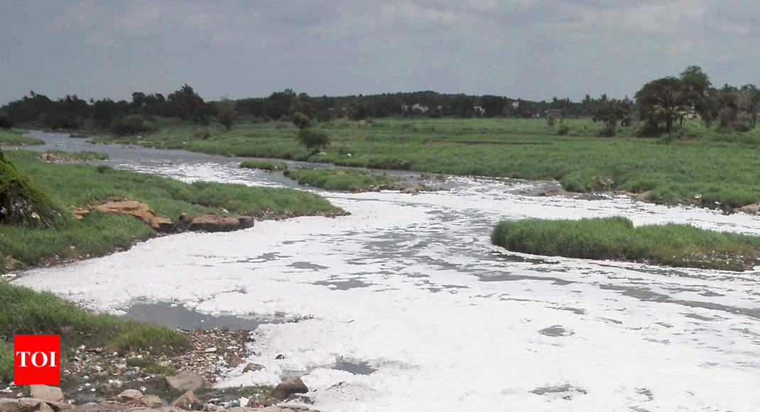 Musi river: Polluted Musi water used for irrigation affecting aquifers ...