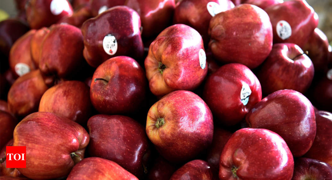 Apple Growers: Himachal Pradesh Apple Growers Elated Over Import Duty ...