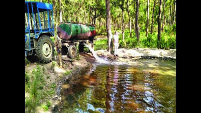 Delay in monsoon makes PTR arrange drinking water for wildlife