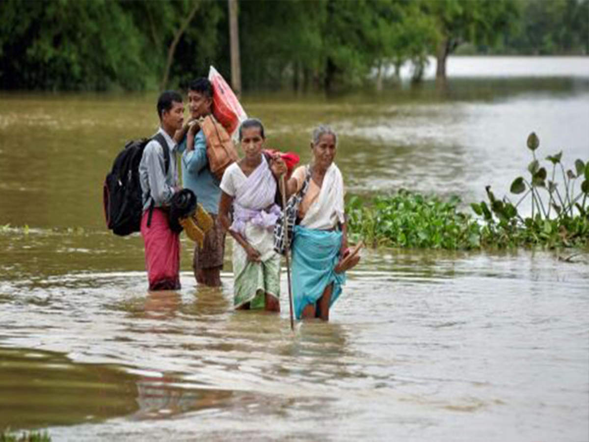 Assam flood situation improves | Guwahati News - Times of India