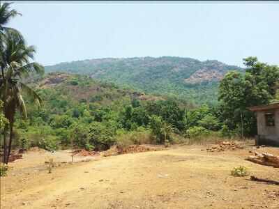 Goa’s Honda drives an export industry