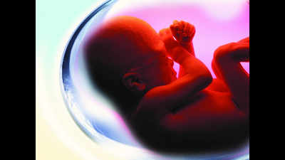 Vadodara womb recipient completes first trimester
