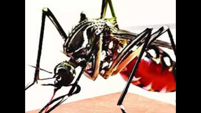 Medical officials swing into action after Malaria reports in Kottakkal