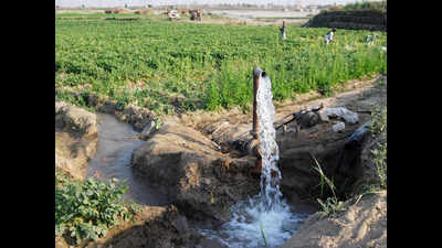 VIDC missed irrigation deadlines, NGO complains to HC