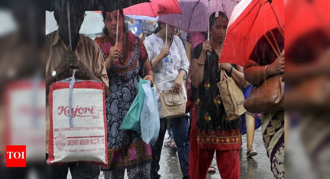 Maharashtra BJP chief whip demands stay on plastic ban Mumbai News