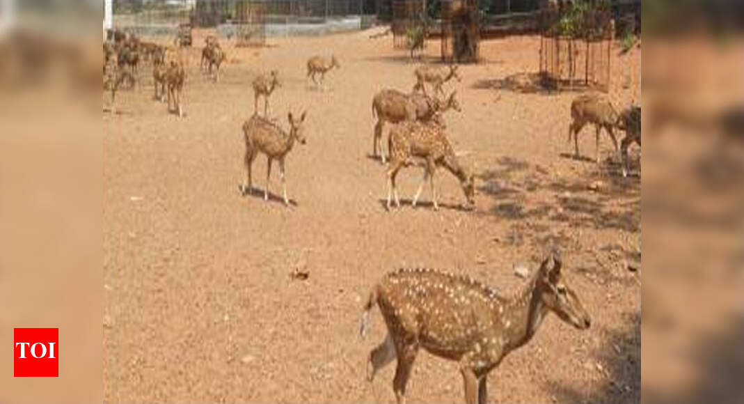 Deer Deaths Lab report Deer deaths not due to septicaemia Kochi