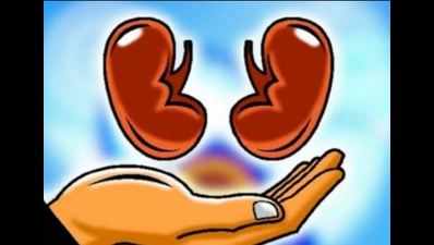 Pune: Mother-in-law donates kidney to daughter-in-law