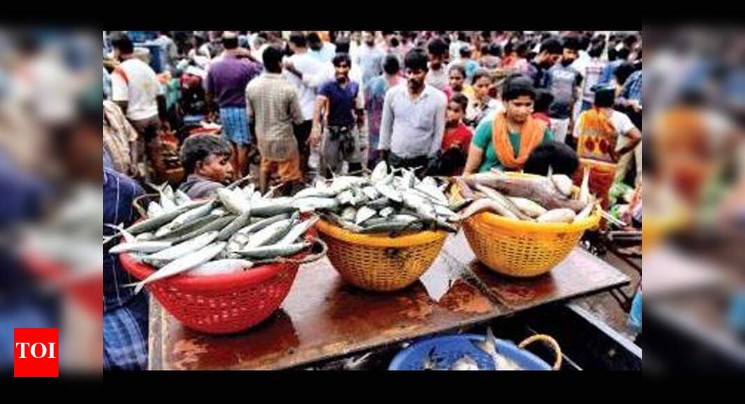 Maharashtra's fish catch up again, rises 30 in 2017 Mumbai News