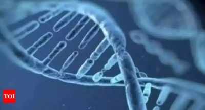 DNA test on girl to decide fate of Maharashtra sarpanch