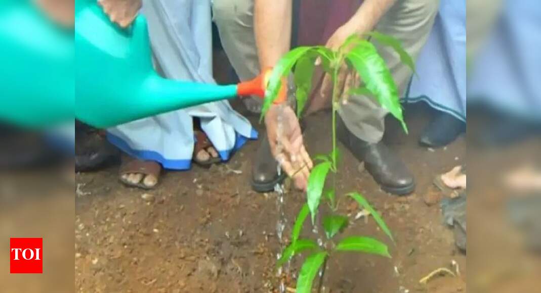 Tree plantation drive carried out at Raj Ghat, Smriti Sthal | Delhi ...