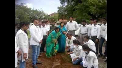 NMC starts tulsi garden at Jaripatka in plantation drive
