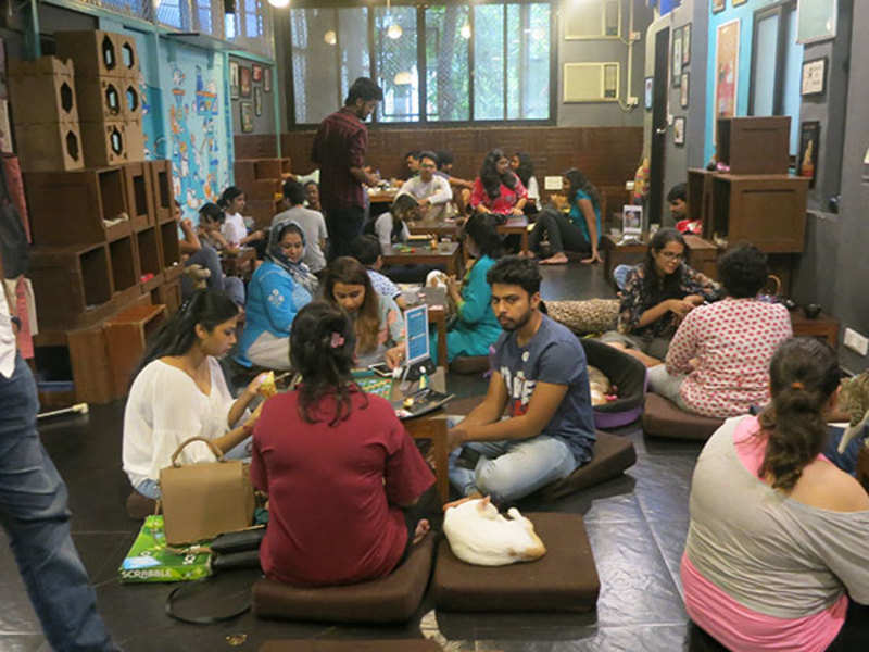 When Mumbaikars spent time at a cat café