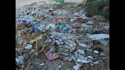 Sector 8 park turning into dumping zone