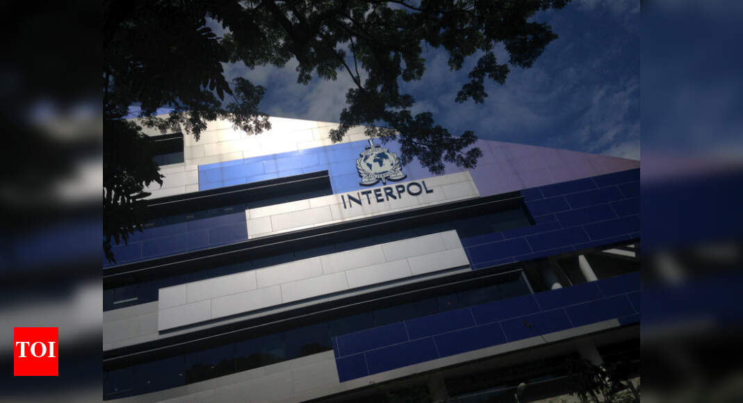 PNB Scam Red corner notice against Nirav Modi What else forms Interpol's rainbow Times of India