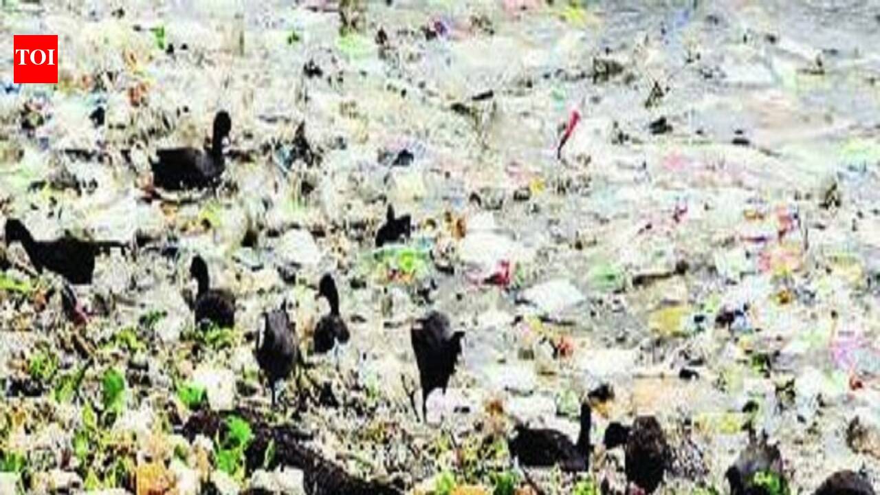 GHMC ‘plastic suffocation campaign’: Citizens get together to beat ...
